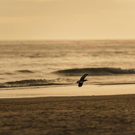 Pousada Irashai Juquei Bagian luar foto
